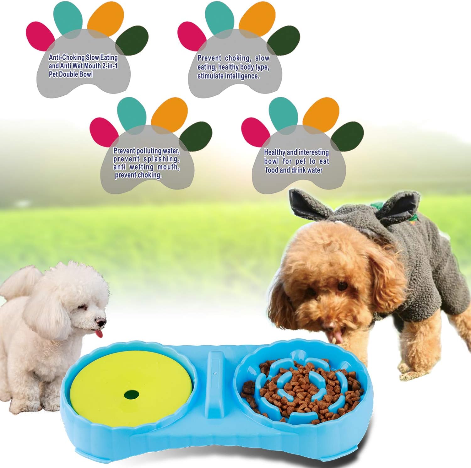 dog choking on water