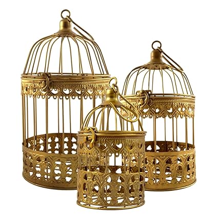 Lot De 3 Cages à Oiseaux Dorées