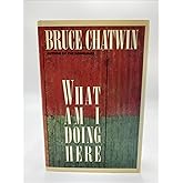 What Am I Doing Here?