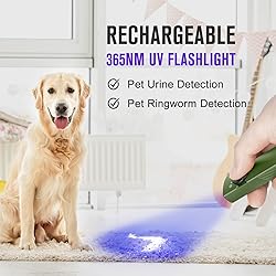 OLIGHT Arkfeld UV Rechargeable EDC Flashlight, 1000