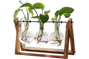 Plant Terrarium Stand Indoor with Wooden Stand,Desktop Propagation Station, Air Plants Terrarium, Plant Lover Birthday Gifts 