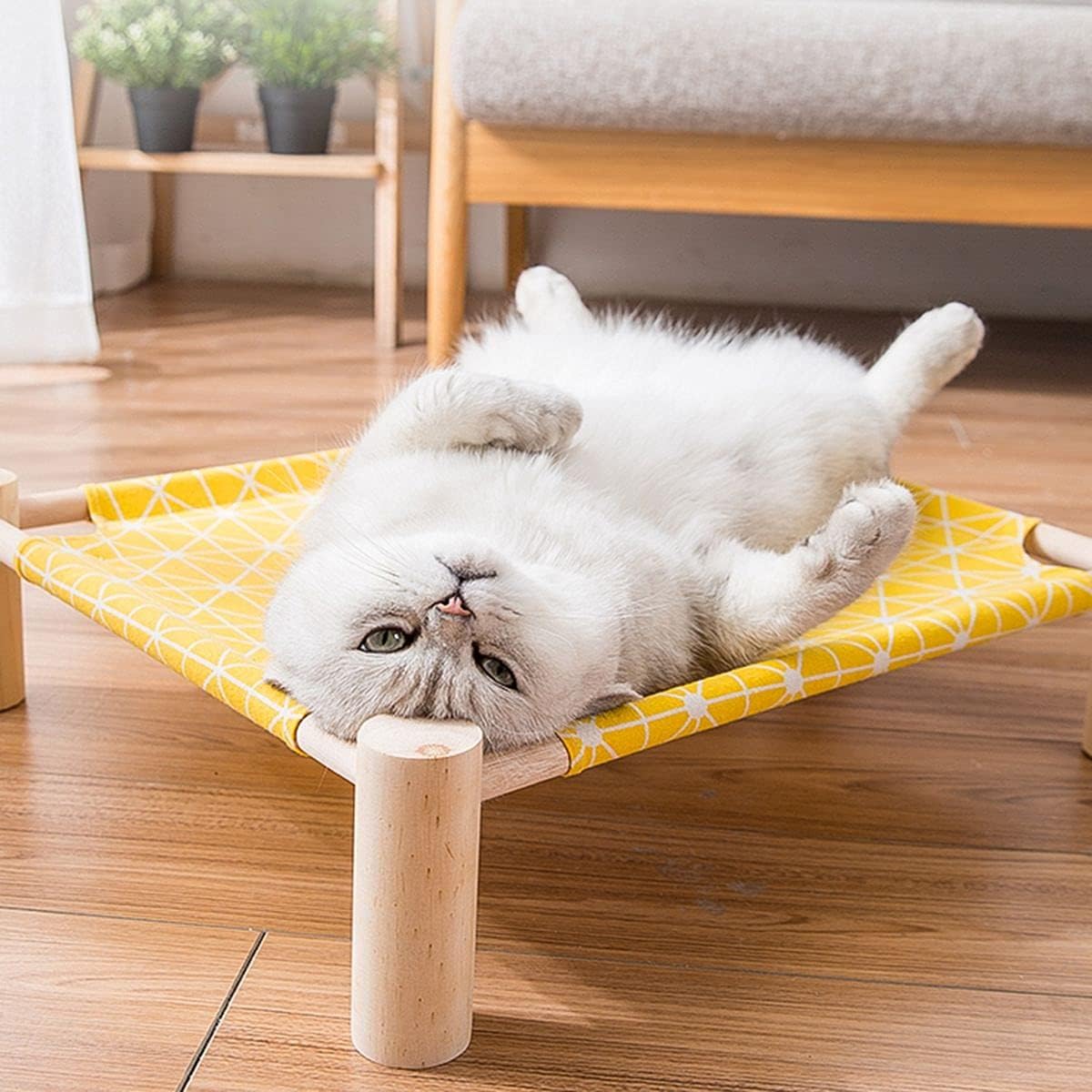 plmm Summer Small Dogs Raised Detachable Elevated Breathable Pet House Hammock Cat Bed Cat Sofa Machine Washable(H): Home & Kitchen