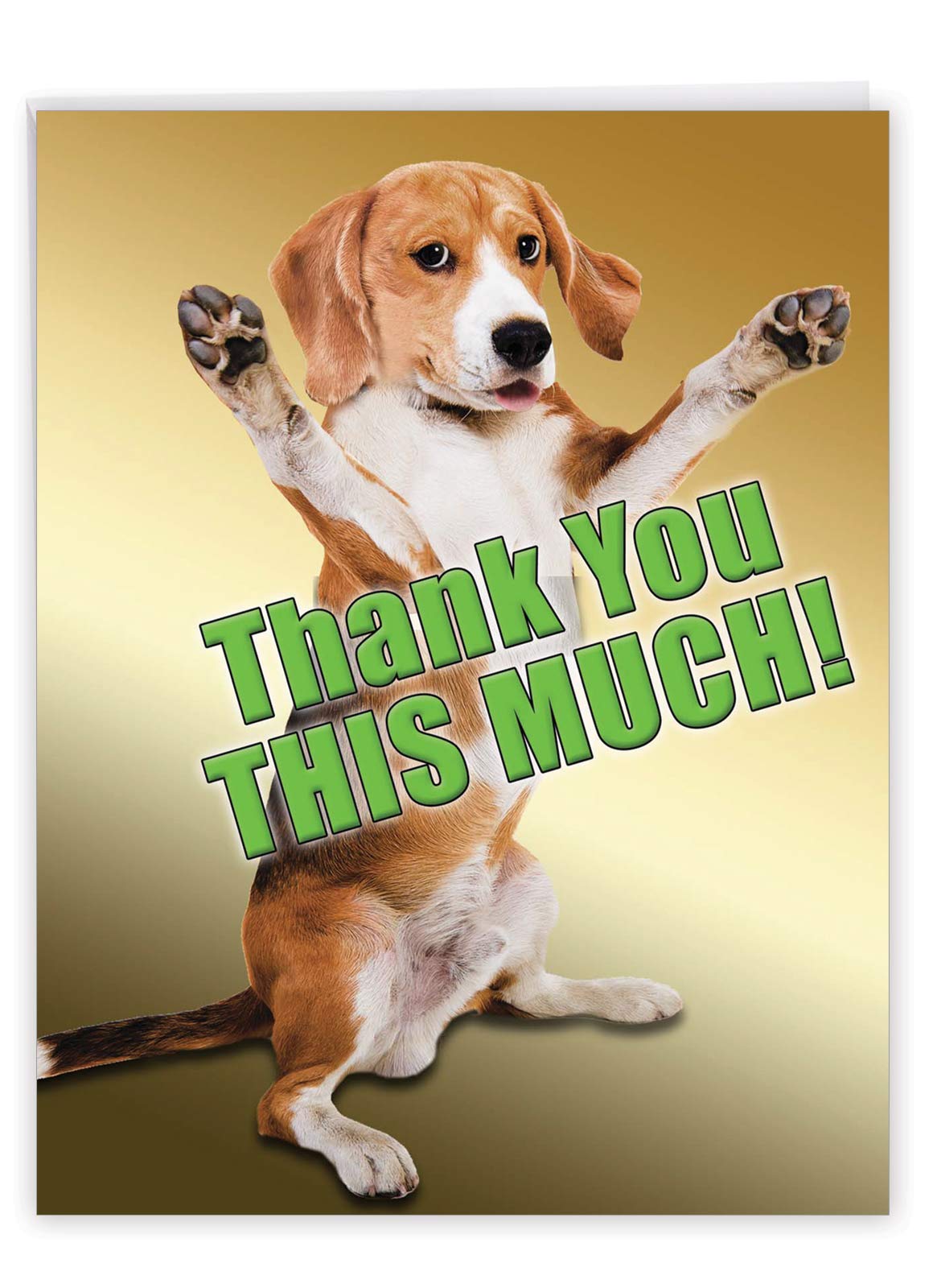J2232TYG Jumbo Funny Thank You Card: This Much Dog With Envelope (Extra Large Version: 8.5'' x 11'')
