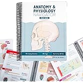 Anatomy &amp; Physiology Navigator