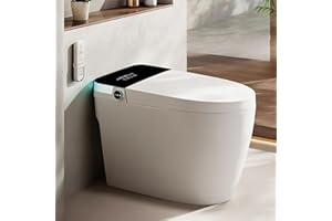 TDH Luxury Smart Toilet, Heated Seat with Warm Water Sprayer & Dryer, Walk Away Auto Flush and Close,One Piece Toilet for Bathrooms with Remote Control