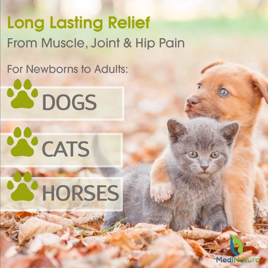 natural t relief for dogs