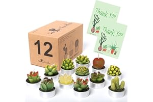 AIXIANG Succulent Candles Cactus Candle Tealight,Christmas Gift,Housewarming Favors for Guests,Party Favors for Bridal Shower,Baby Shower,Home Decors (Cactus Candles 12)