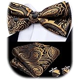 Dubulle Mens Paisley Striped Bowtie Set Pre-tied Bowtie for Men and Pocket Square Set Wedding Business