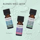 Tisserand Peppermint Organic Essential Oil 9ml Natural Vegan Diffuser view 5