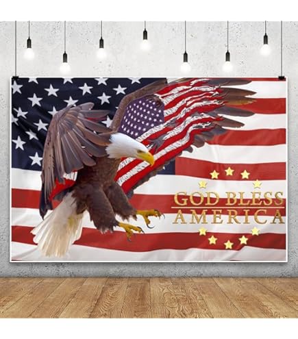 Amazon.com : AIBIIN God Bless America Banner Backdrop