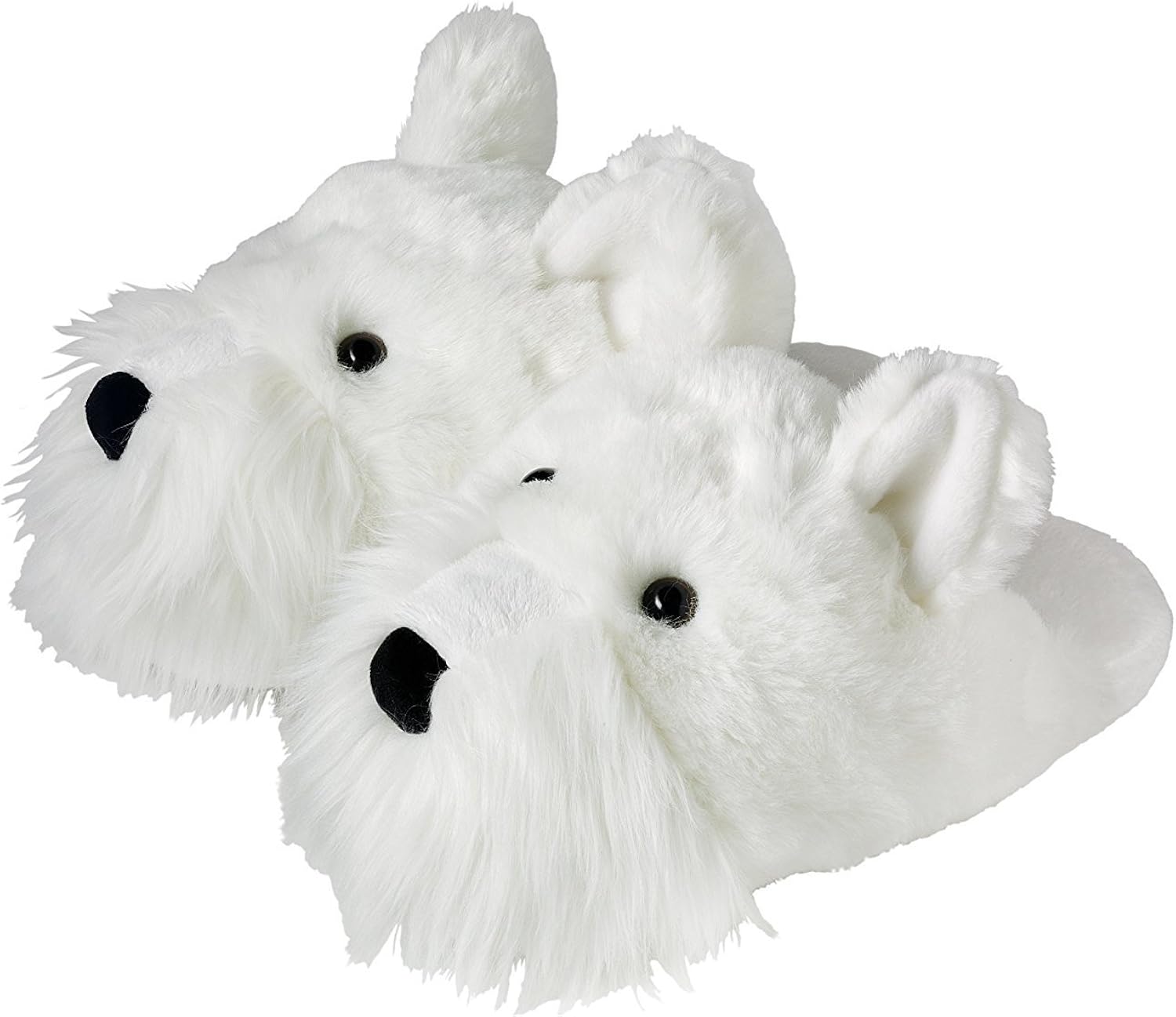 longest living siberian husky