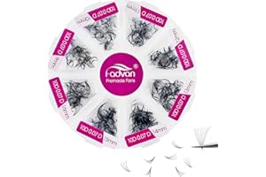500 Premade Fans Eyelash Extensions Mixed Tray 9-16mm 10D Premade Volume Eyelash Extensions 0.07mm Thickness Premade Lash Fan