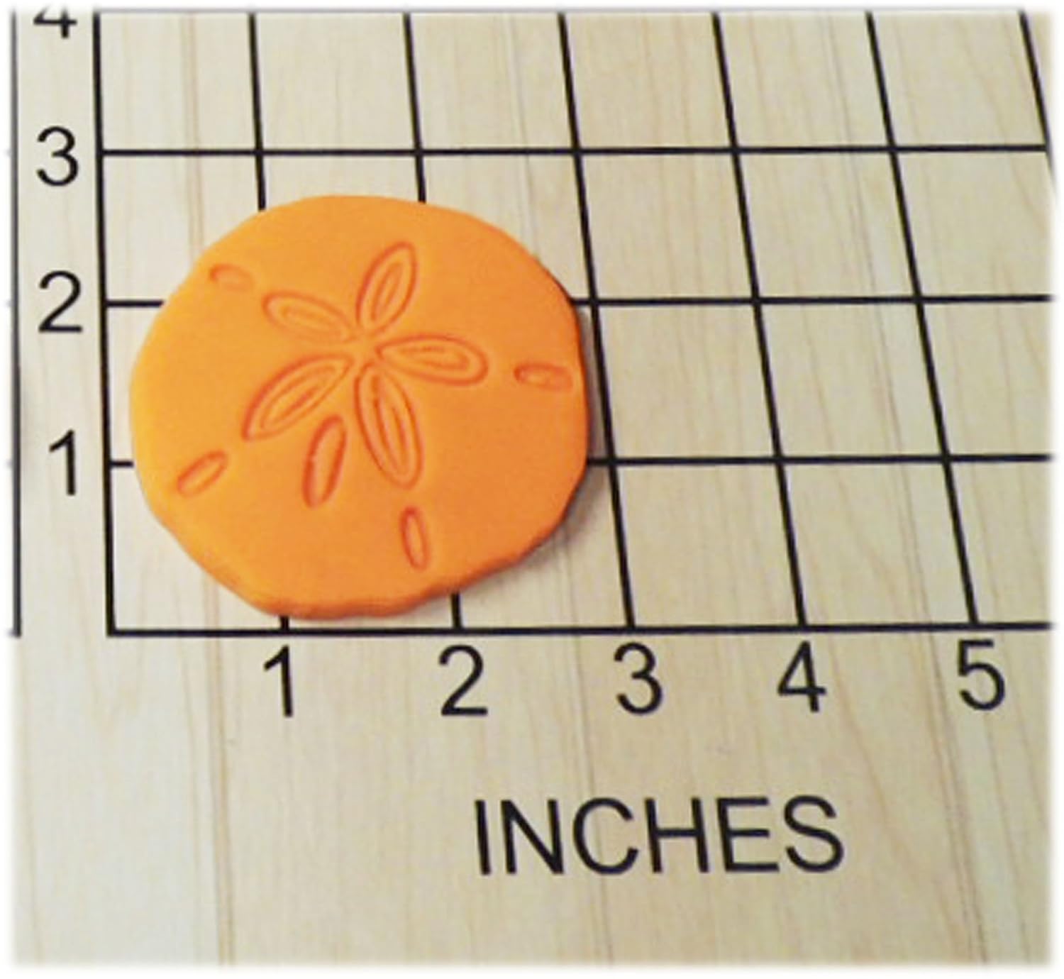 Sand dollar Shaped Fondant Cookie Cutter and Stamp 1147 Handmade
