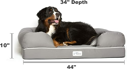 orthopedic memory foam dog bed