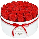 17 Forever Flowers in a Luxury Suede Box, Preserved Roses Birthday Gifts for Women, Romantic Anniversary Valentines Day Gifts for Her Girlfriend Wife, Red