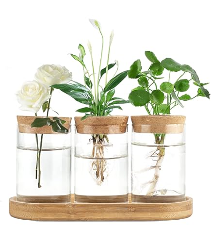 Station De Propagation Avec Support En Bois 2 Ampoule Vintage Avocat