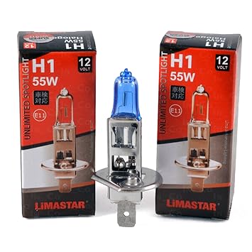 2 x 6 Volt 55 WATT H1 lampadine alogene