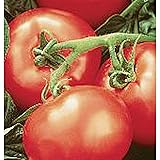 Heatwave II Tomato Seeds