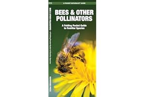 Bees & Other Pollinators