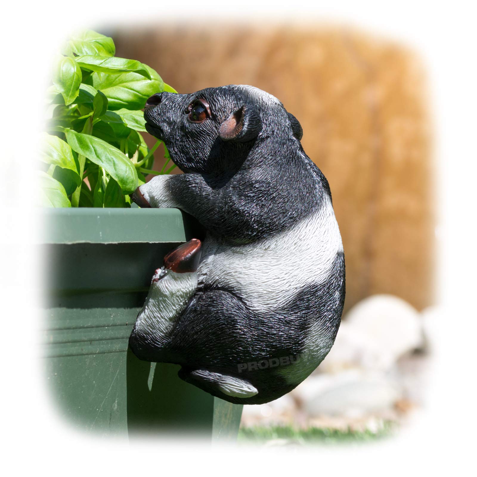 ProdBuy Home Plant Pot Hanging Garden Ornament (Black & White Cow)