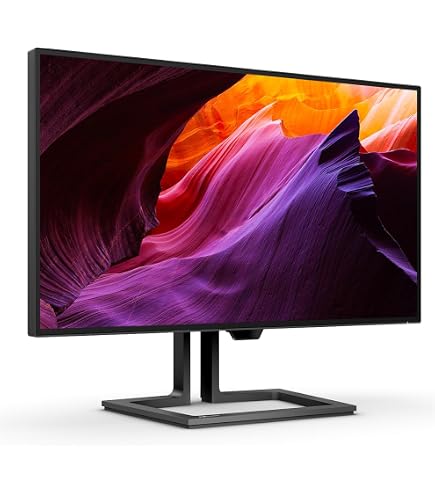 Monitor Gamer Philips EVNIA 42