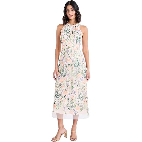 Amazon.com: Adrianna Papell Womens Embroidered Fit and Flare Blue Multi 2 :  Clothing, Shoes & Jewelry