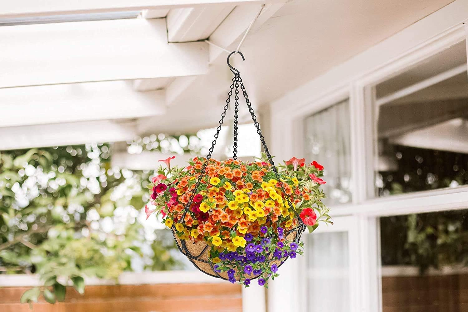 CABASAA 2 Pack Metal Hanging Planter Basket with Coco Coir Liner Chain Round Wire Plant Holder Flower Pots Hanger Garden Decoration Porch Decor Watering Hanging Baskets Indoor Outdoor (12INCH): Kitchen & Dining