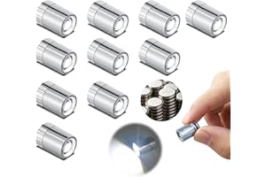 FNHMSL Mini LED Lights, 10 PCS Small Spotlight Battery Operated Tiny SMD Lamp, Miniature LED Light for DIY Hand Craft, Small SSL Lights for Dollhouse, Action Figures, Toy Building (Cool White)