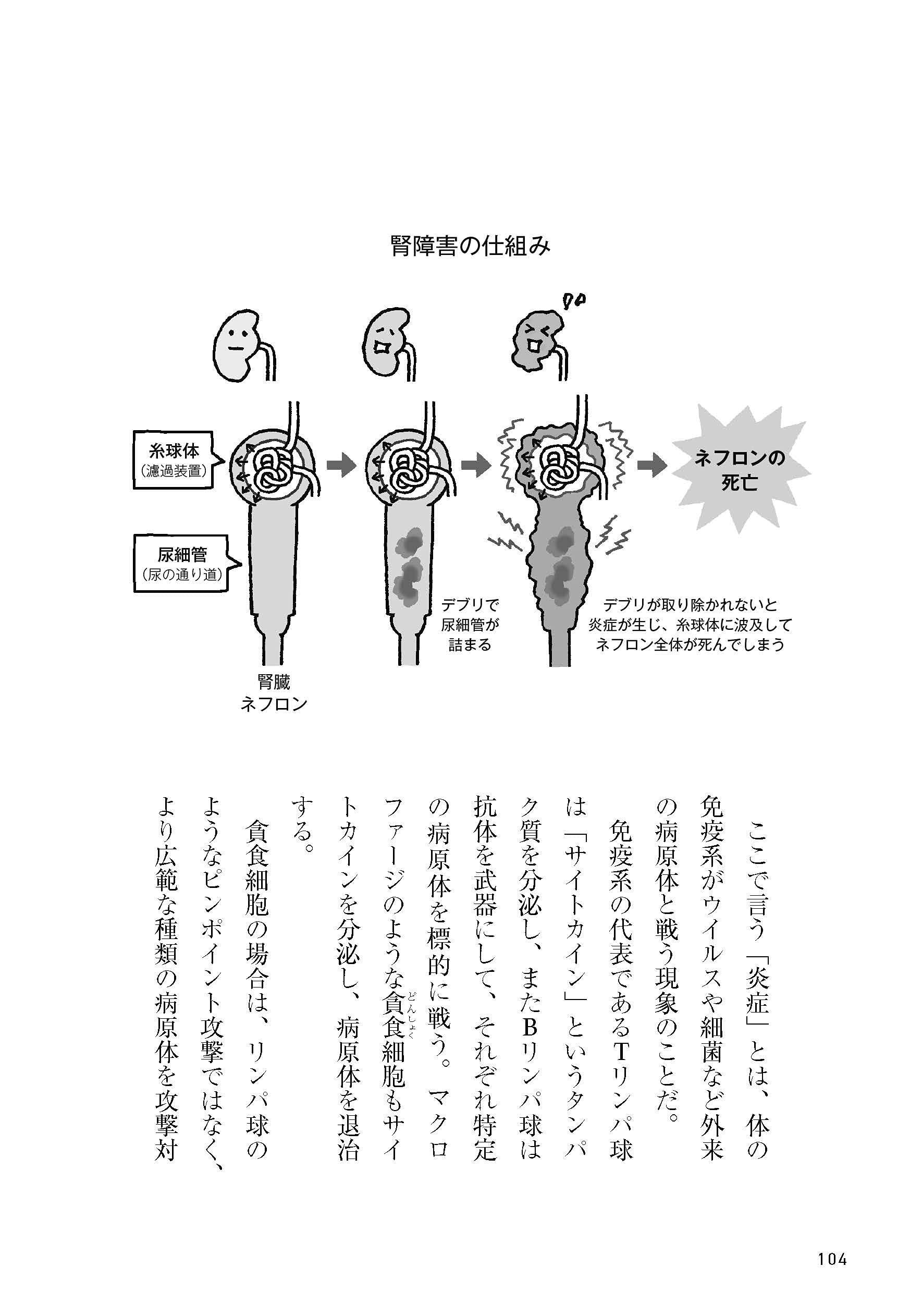 猫が30歳まで生きる日 治せなかった病気に打ち克つタンパク質 Aim の発見 宮崎 徹 本 通販 Amazon