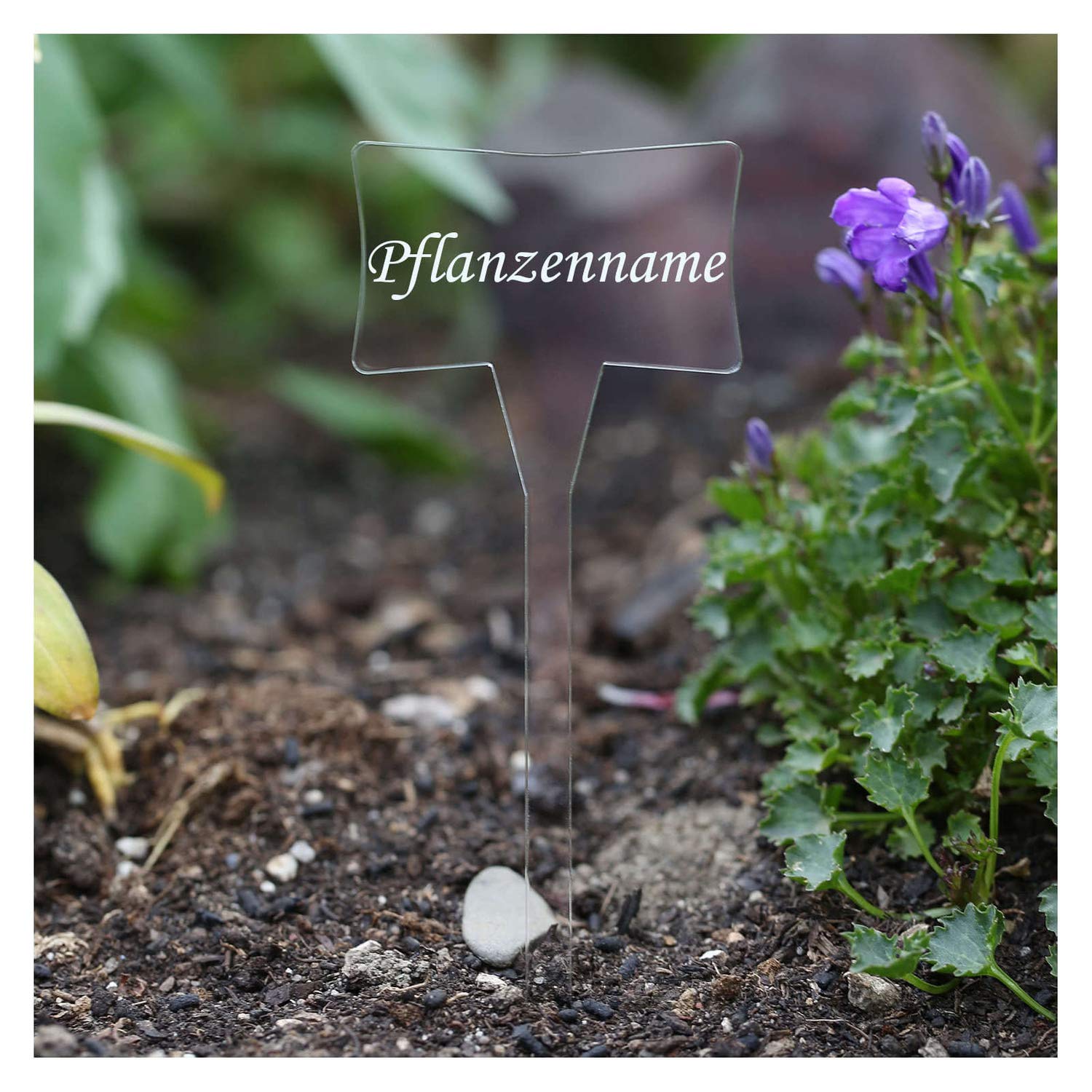 Acrílico cristal - Etiquetas para plantas (Esclavo transparente ...