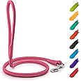 WAUDOG Rolled Leather Dog Leash 4Ft * 0.3 in for Small Medium and Large Dogs - Heavy Duty Leather Puppy Leash for Outdoor Walking Running Training - Strong Dog Leashes for Large Breed Dogs (Pink)
