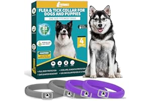 YOTANGO 4 Pack Flea Collar for Dogs, Dog Flea and Tick Collar 8 Months Flea and Tick Treatment Prevention for Dogs, Waterproof Adjustable Dog Flea Collar Natural Tick and Flea Collar for Dogs (Purple&Grey)