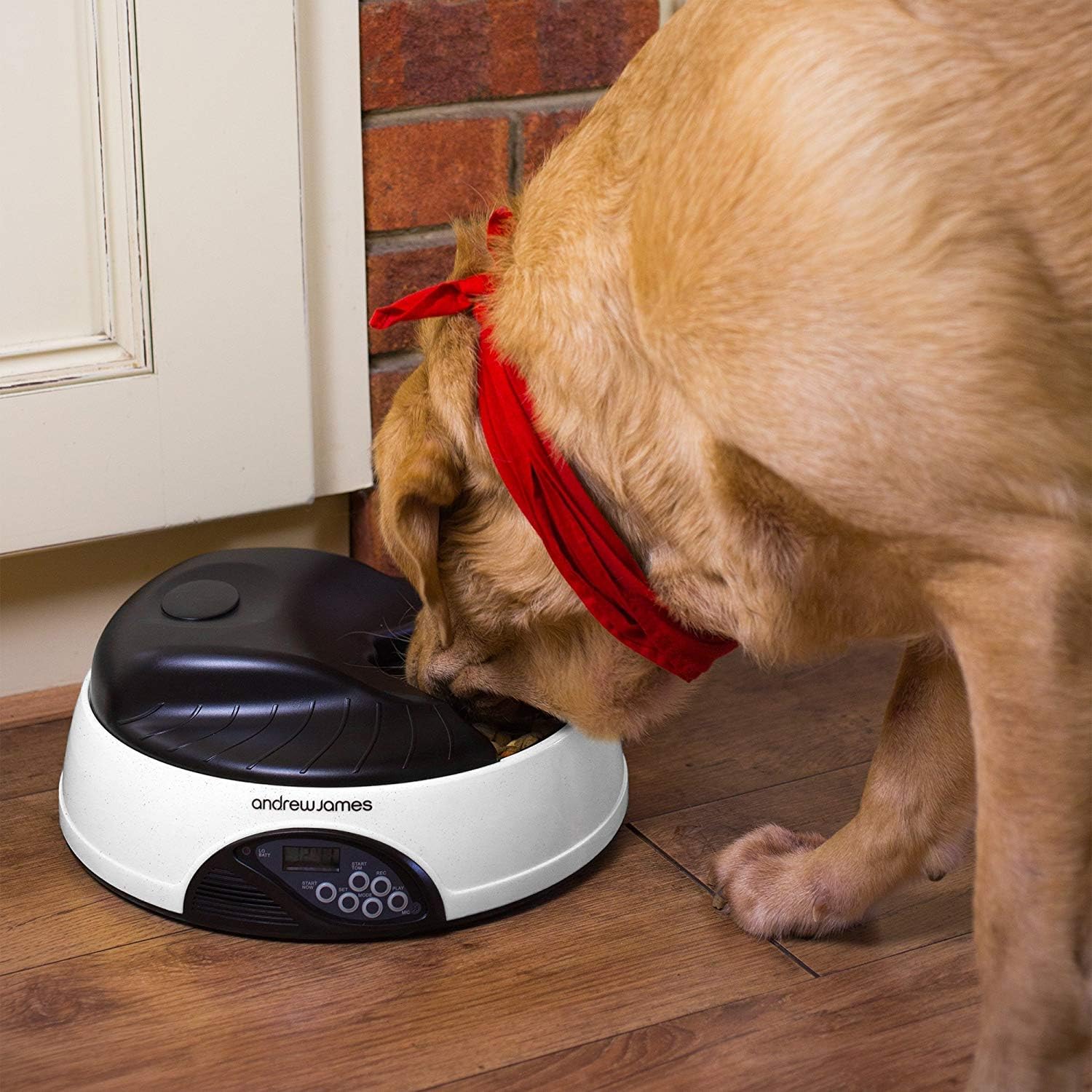 andrew james 4 day pet feeder