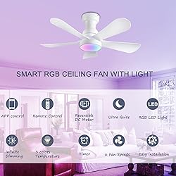 NKPU 36inch Ceiling Fans with Lights and Remote/App