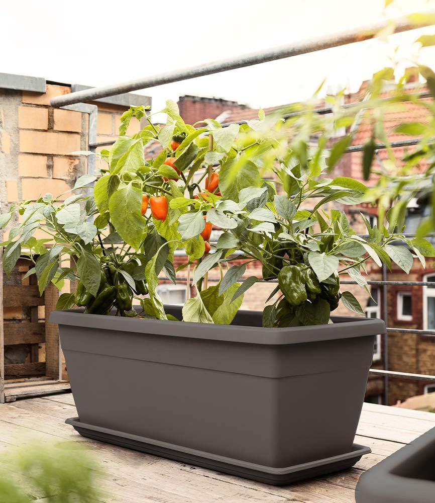 Emsa 518571 Pflanztrog My City Garden Zeitloser Blumentopf 80 X 35 X 