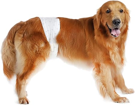 extra large male dog wraps
