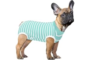 SAWMONG Dog Recovery Suit, Recovery Suit for Dogs After Surgery, Dog Spay Surgical Suit for Female Dogs, Dog Onesie Body Suit for Surgery Male Substitute Dog E-Collar Cone, Green, Small