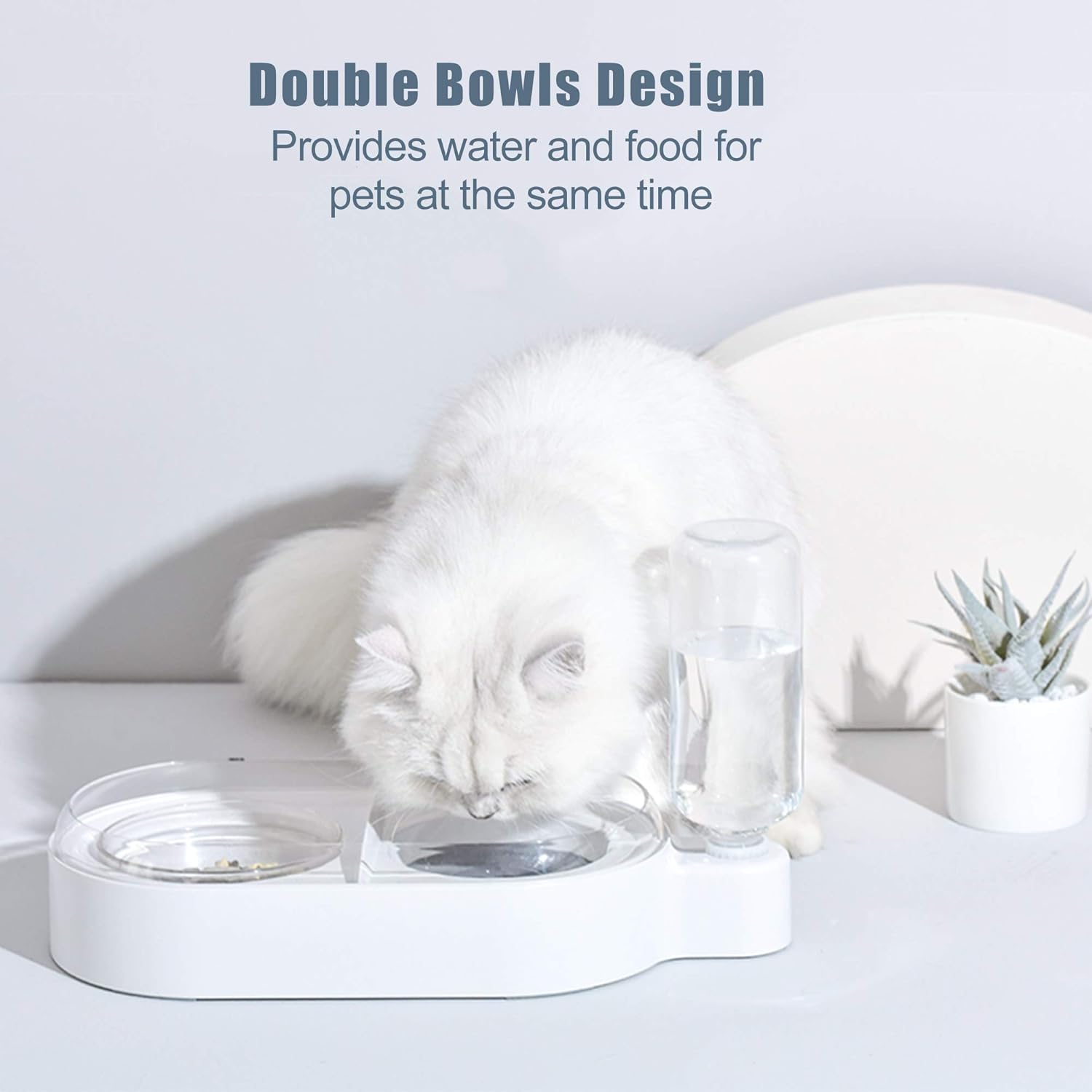 Pet Supplies : UPSKY Double Dog Cat Bowls Pet Automatic Water Dispenser Detachable Dog Glass Feeder Bowl No-Spill Pet Food Water Bowls for Cats and Small Dog : 