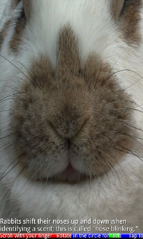 Amazon.com: Animal Noses 2 : Apps & Games