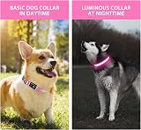 PcEoTllar Light Up Dog Collar 8 Modes Rechargeable Waterproof Pink 9 Modes view 7