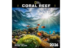 Coral Reef 2026 Calendar: Stunning Ocean Landscapes with Colorful Fish