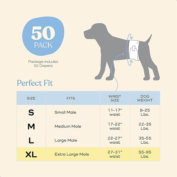 COMFORTABLE MALE DOG DIAPERS – 50-PACK SUPER ABSORBENT DISPOSABLE MALE DOG WRAPS- FLASHDRY GEL TECHNOLOGY, WETNESS INDICATOR DOGGIE DIAPERS- LEAKPROOF BELLY WRAPS FOR INCONTINENCE, EXCITABLE URINATION