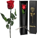 Yamonic Preserved Real Red Rose Gift for Women, Eternal Flower view 1