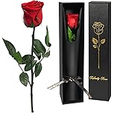 Yamonic Preserved Flowers Rose Gifts for Women Mom, Mothers Day Rose Flower Gifts for Moms,Forever Real Flowers Mom Birthday Grandma Gifts, Valentines Day Gift for Her Girlfriend Wife Anniversary(Red)
