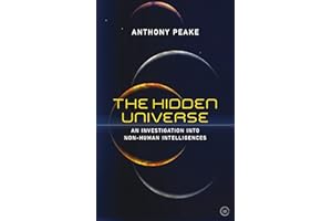 The Hidden Universe: An Investigation into Non-Human Intelligences