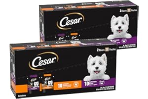 Cesar Filets in Gravy Wet Dog Food Filet Mignon Flavor and Rotisserie Chicken Flavor Variety Pack, 1.76 oz. Mini-Pouches, 20 Count (Pack of 2)