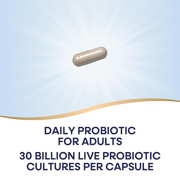 NW FORTIFY DAILY PROBIOTI SIZE 30EA NATURE’S WAY FORTIFY DAILY PROBIOTIC 30EA