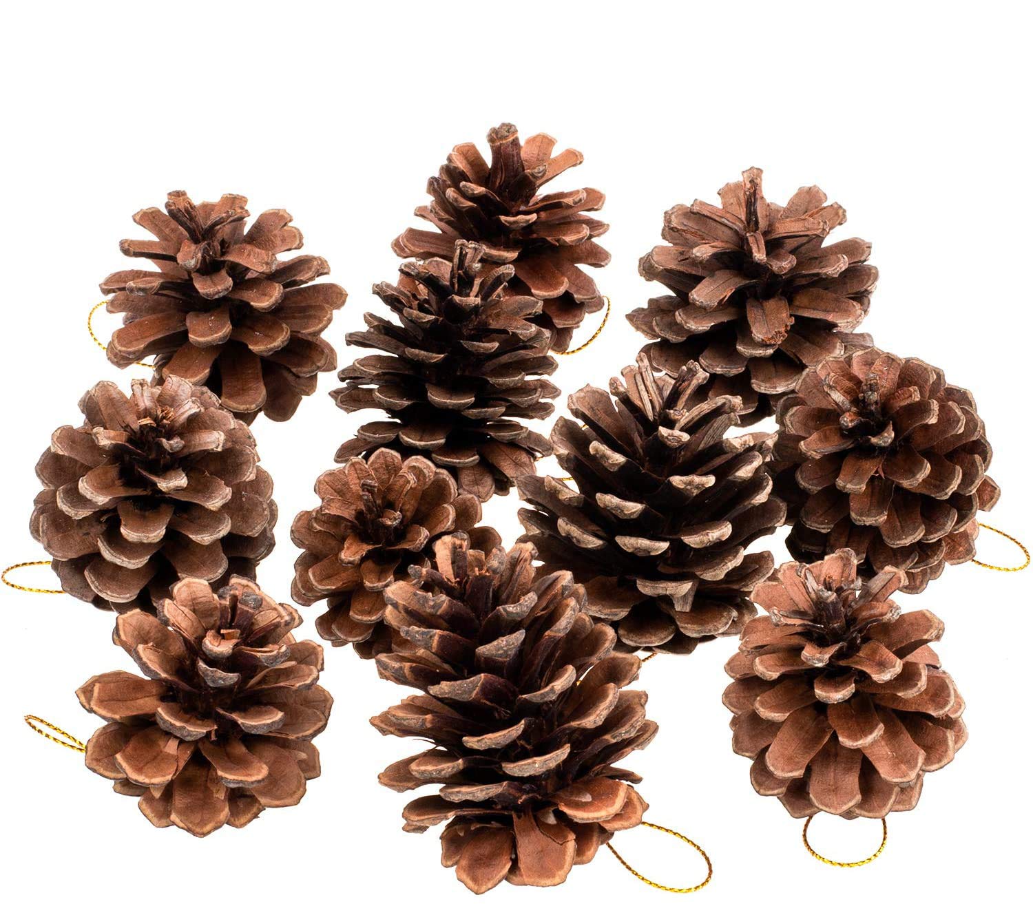 Whaline 25 Pcs 1.6-2.4 Inches Christmas Pine Cones Decoration with String, Natural Rustic Pinecones Bulk Ornaments for Crafting for Home Accent Decor, Fall Thanksgiving Tree Decoration