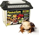 Exo Terra Standard Faunarium Small Reptile Amphibian Insect Enclosure view 5