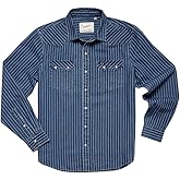 Dust Up Denim Snapshirt